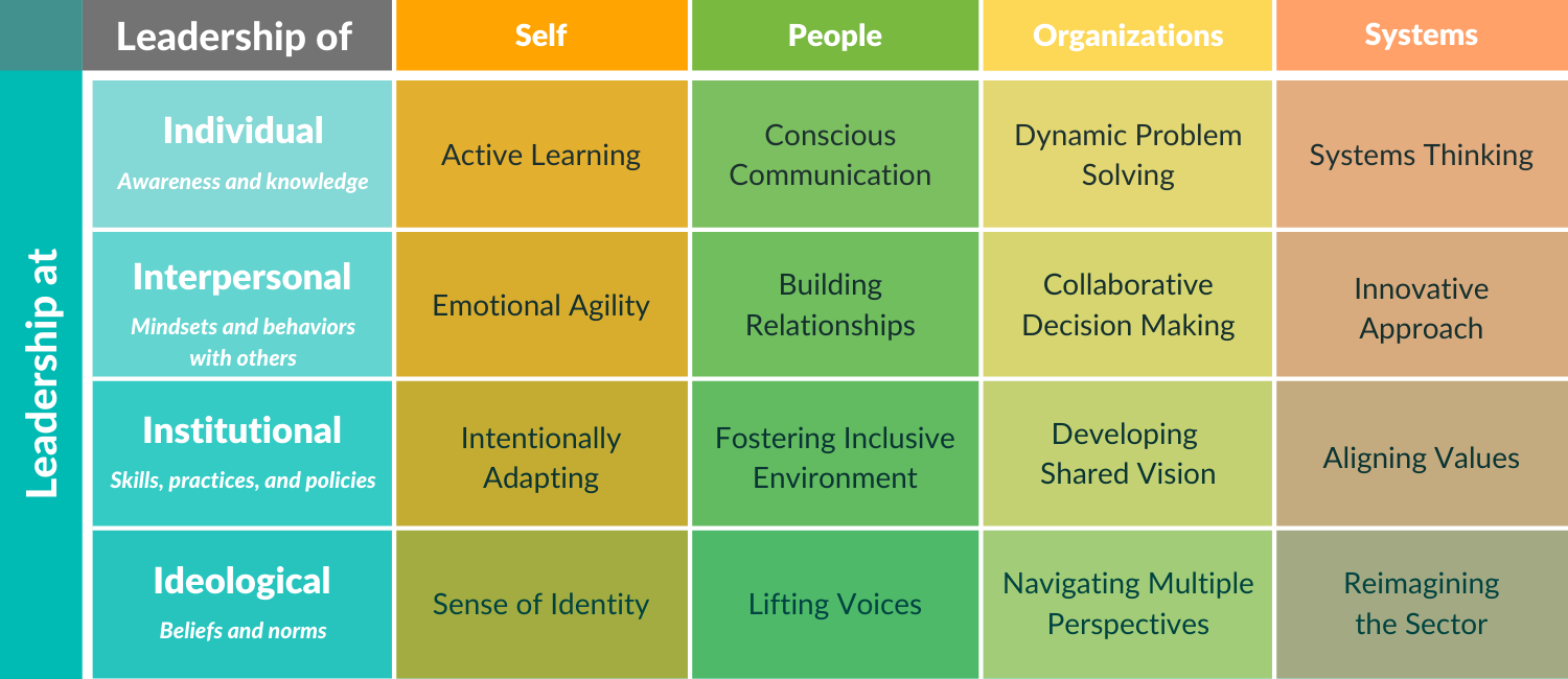 From Competencies to Practices for Race Equity Impact - ProInspire